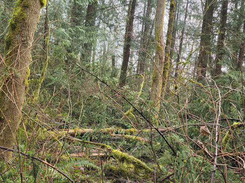 Lewis and Clark State Park-Toledo必去景点