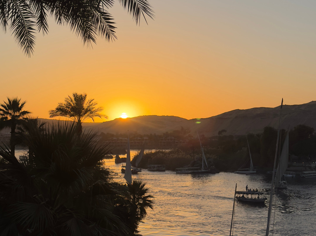 Mo Luxury Tours-亚斯文必去景点