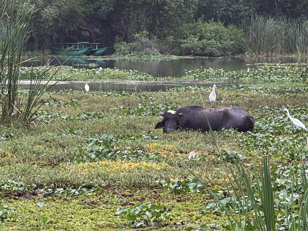 Wildlife Wonders Sri Lanka-唐卡拉必去景点