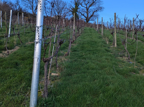 Gwinllan Conwy Ltd-Llandudno Junction必去景点