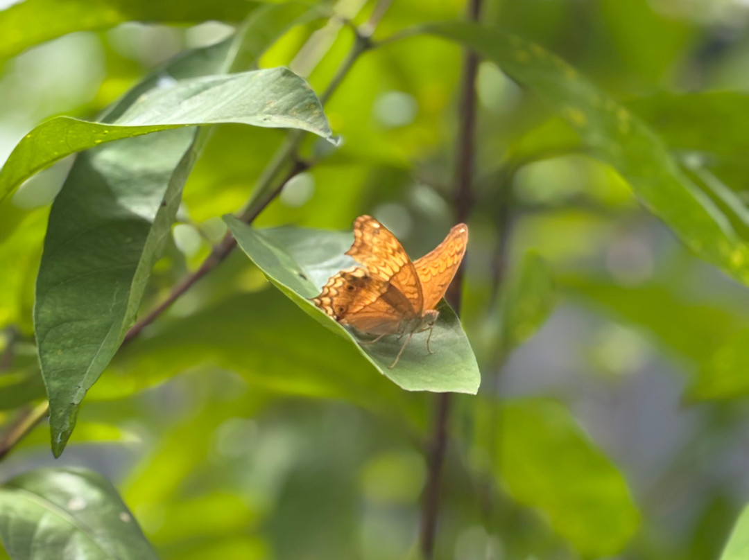 Manfred und Erna Individuelle Touren-沙努尔必去景点