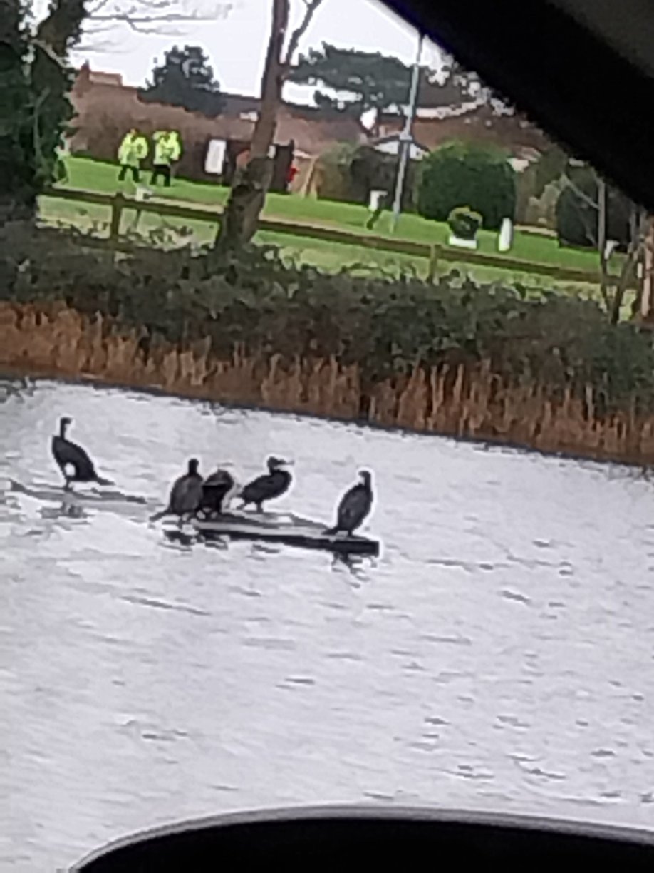 Warner Hotels - Lakeside-官方