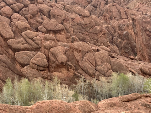 Marocco Tours-马拉喀什必去景点