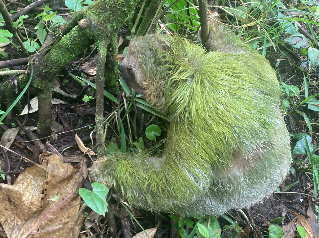 Brother's Adventures Tours-萨迪纳尔必去景点