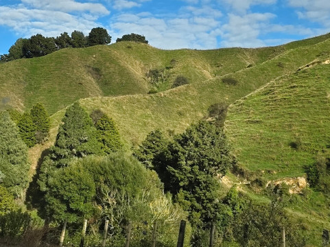Forgotten World Highway-斯特拉特福必去景点