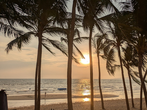 Dongtan Beach-孟腊茫必去景点