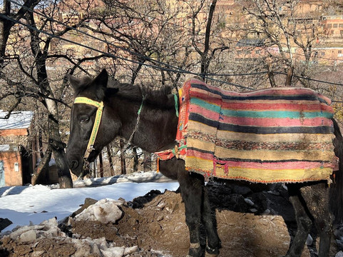 Fouad Achahbar-Azrou必去景点