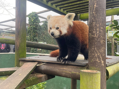 Shepreth Wildlife Park-Shepreth必去景点