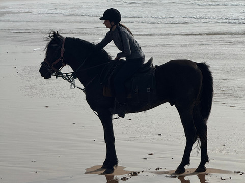 Ocean Ranch Essaouira-索维拉必去景点