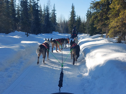 Aavasaksa Adventures-Ylitornio必去景点