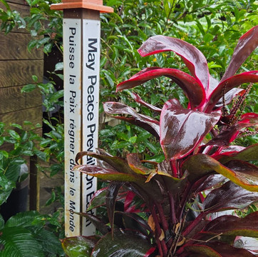 Hilo Shark Tours-帕派科欧必去景点