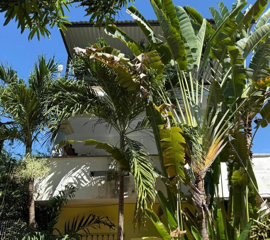 Punta Sol