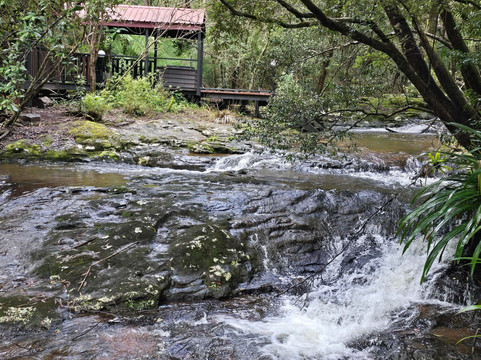 茅斯热带雨林度假村主图