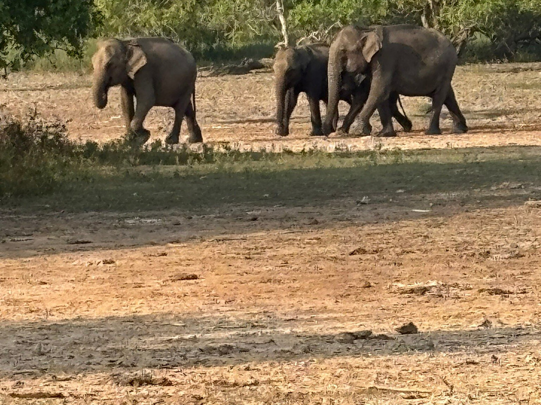 H.O.T Tourism-科伦坡必去景点