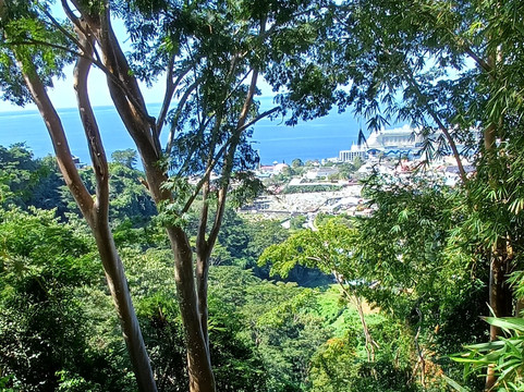 Dominica Botanic Gardens-罗索必去景点