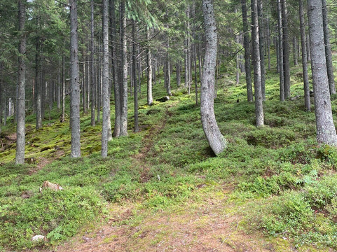 Carpathian National Nature Park-Yaremche必去景点