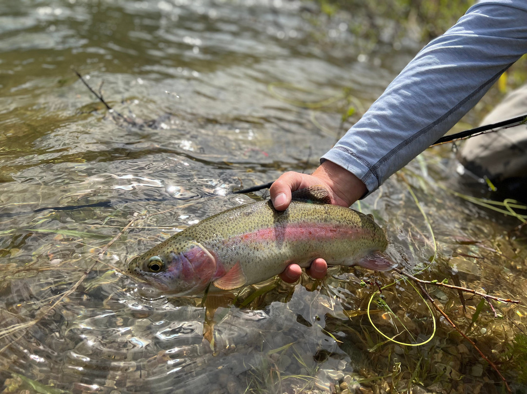 Clark Fork Trout-Saint Regis必去景点