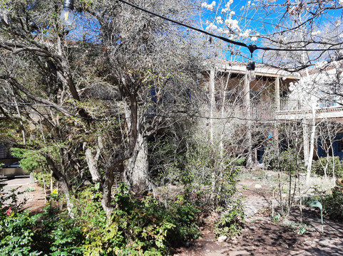 Discovery Walking Tours-圣菲必去景点