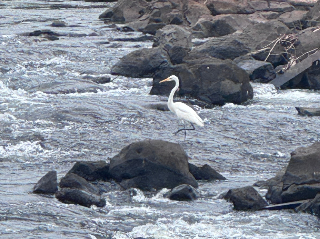 Guayi Travel-伊瓜苏必去景点