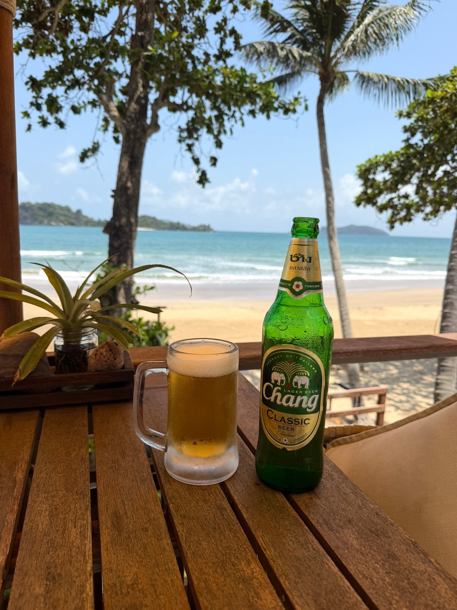 鸟巢私人海滩度假村-官方