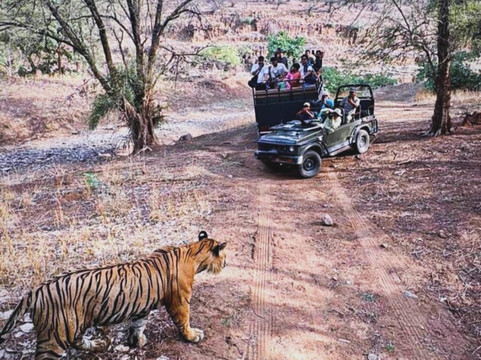 My Rajasthan Trip-斋蒲尔必去景点