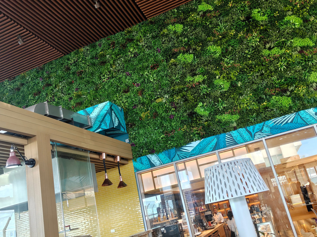 Amacagua Grill & Lounge