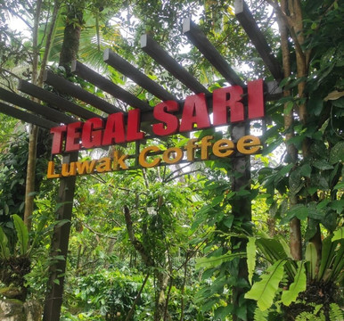 Tegal Sari Bali Coffee-Bedugul必去景点