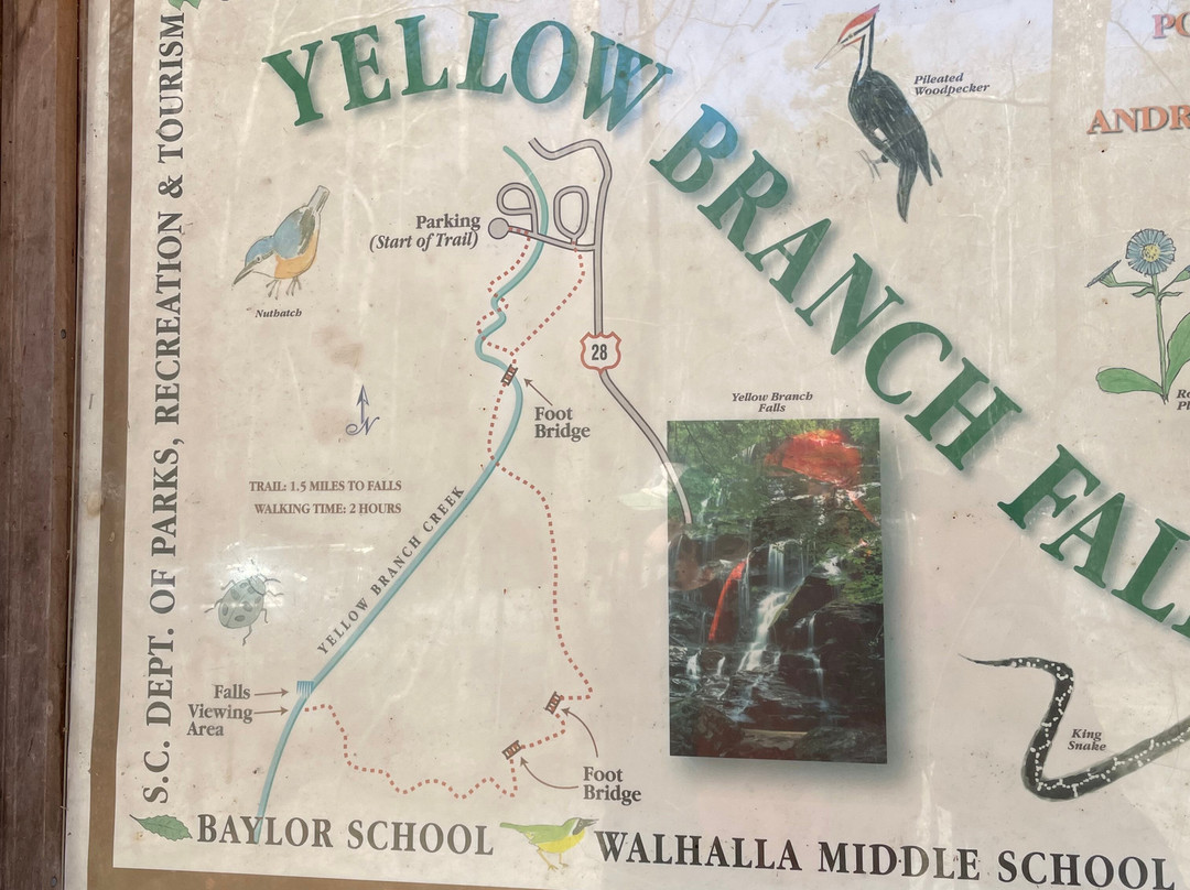 Yellow Branch Falls-Mountain Rest必去景点