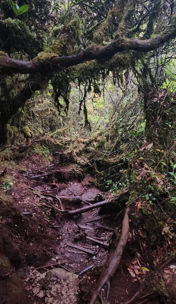 Discover Camerons-丹那拉塔必去景点