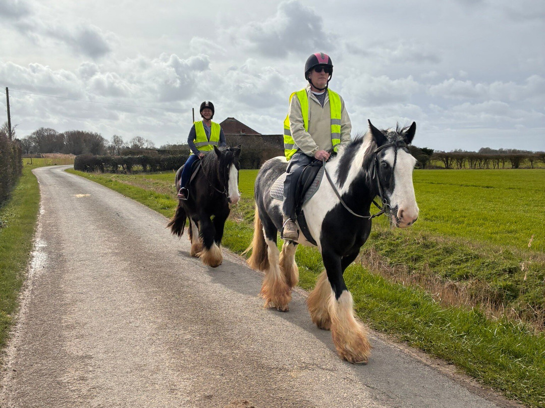 Orchard Farm Equestrian-斯凯格内斯必去景点