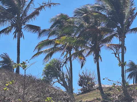 Retire in Panama Tours | Move to Panama | Panama Relocation Experts-波魁特必去景点