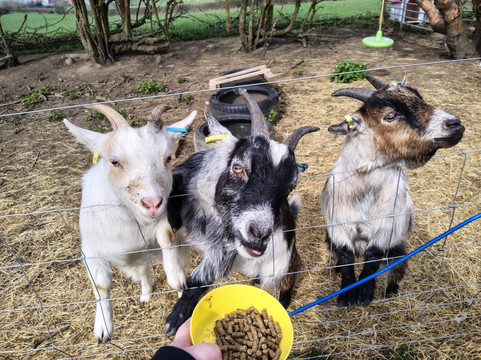 Frankly Farm Tours-Broseley必去景点