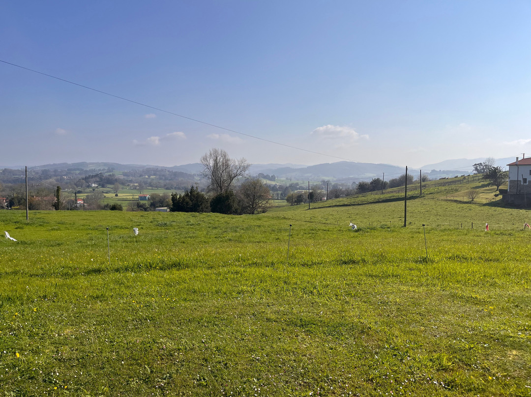 里瓦斯埃尔米拉多酒店主图