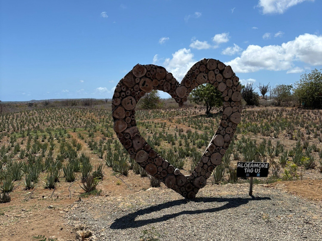 The Aloe Vera Curacao, Home of Curaloe Tour-威廉斯塔德必去景点