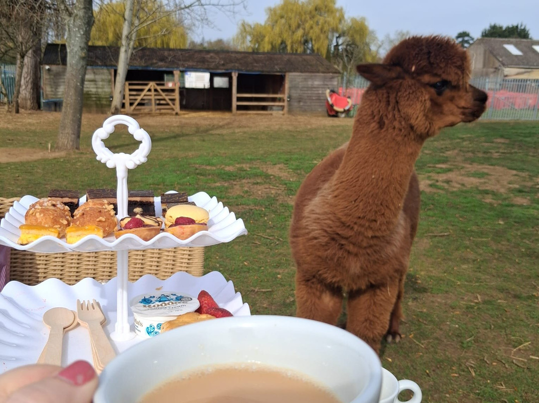 Billing Aquadrome-北安普敦必去景点