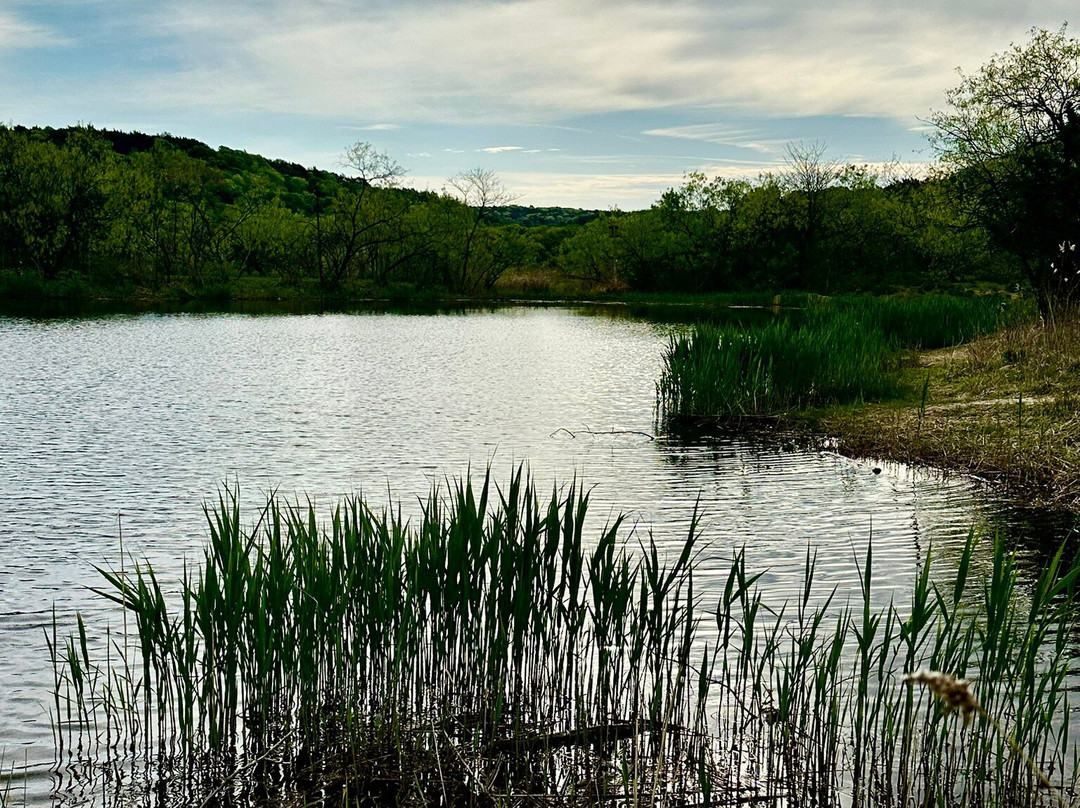 Cedar Ridge Preserve managed by Audubon Dallas.-达拉斯必去景点