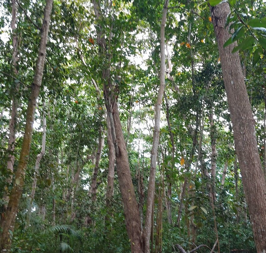 Veuve Nature Reserve-拉迪格岛必去景点