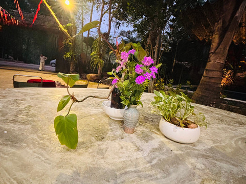 徳布沃克之家酒店主图