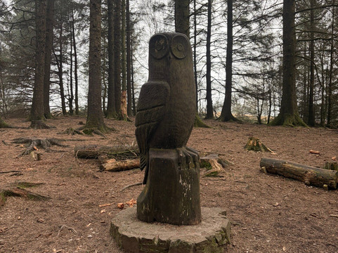 Beacon Fell Country Park-Goosnargh必去景点