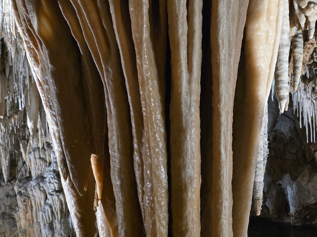 Grotte Des Canalettes-Villefranche-de-Conflent必去景点