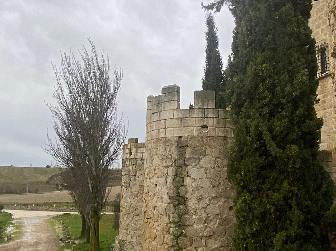 Castillo de Ampudia-Ampudia必去景点
