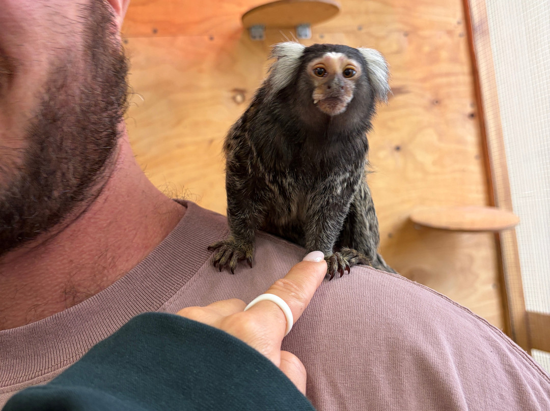 Strana Enotiya-克拉斯诺亚尔斯克必去景点