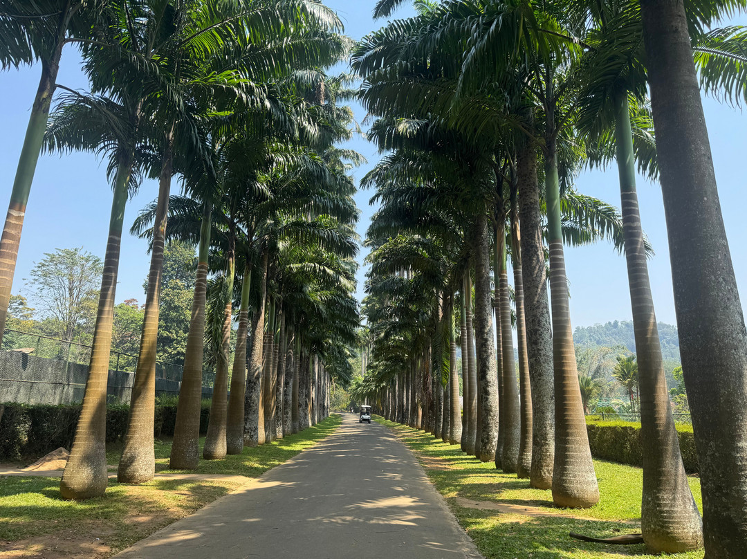 Wicky Tours Sri Lanka-尼甘布必去景点