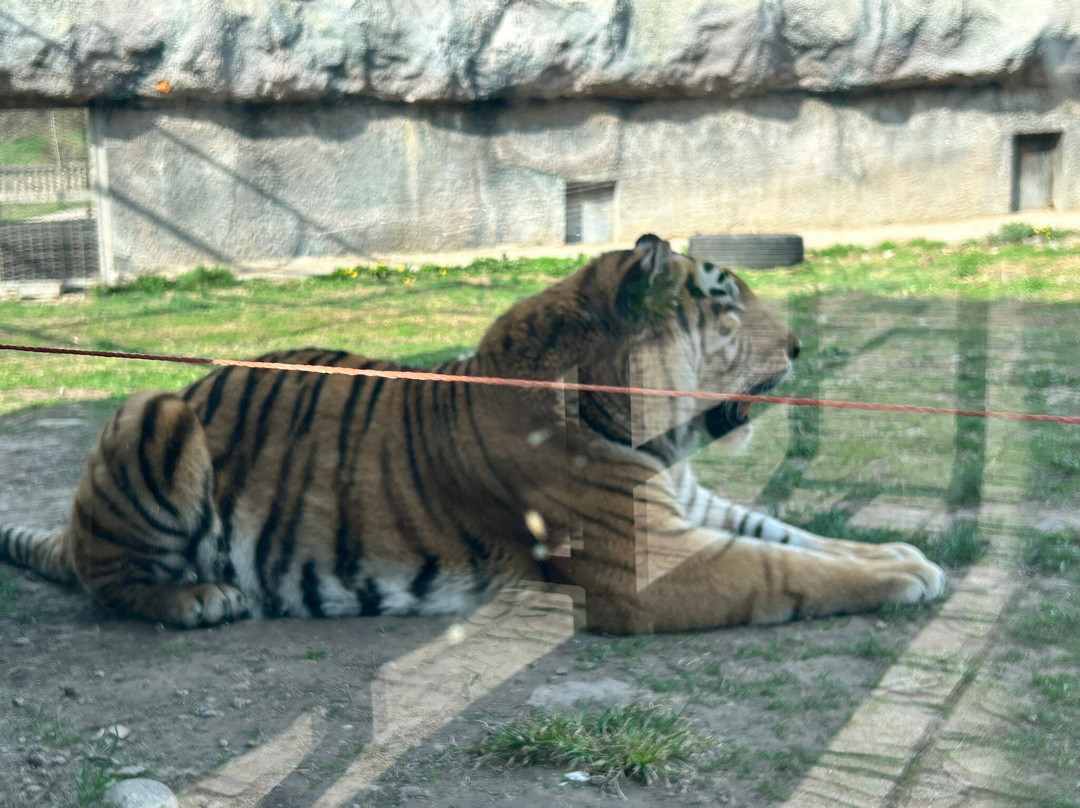 Almaty Zoo-阿拉木图必去景点