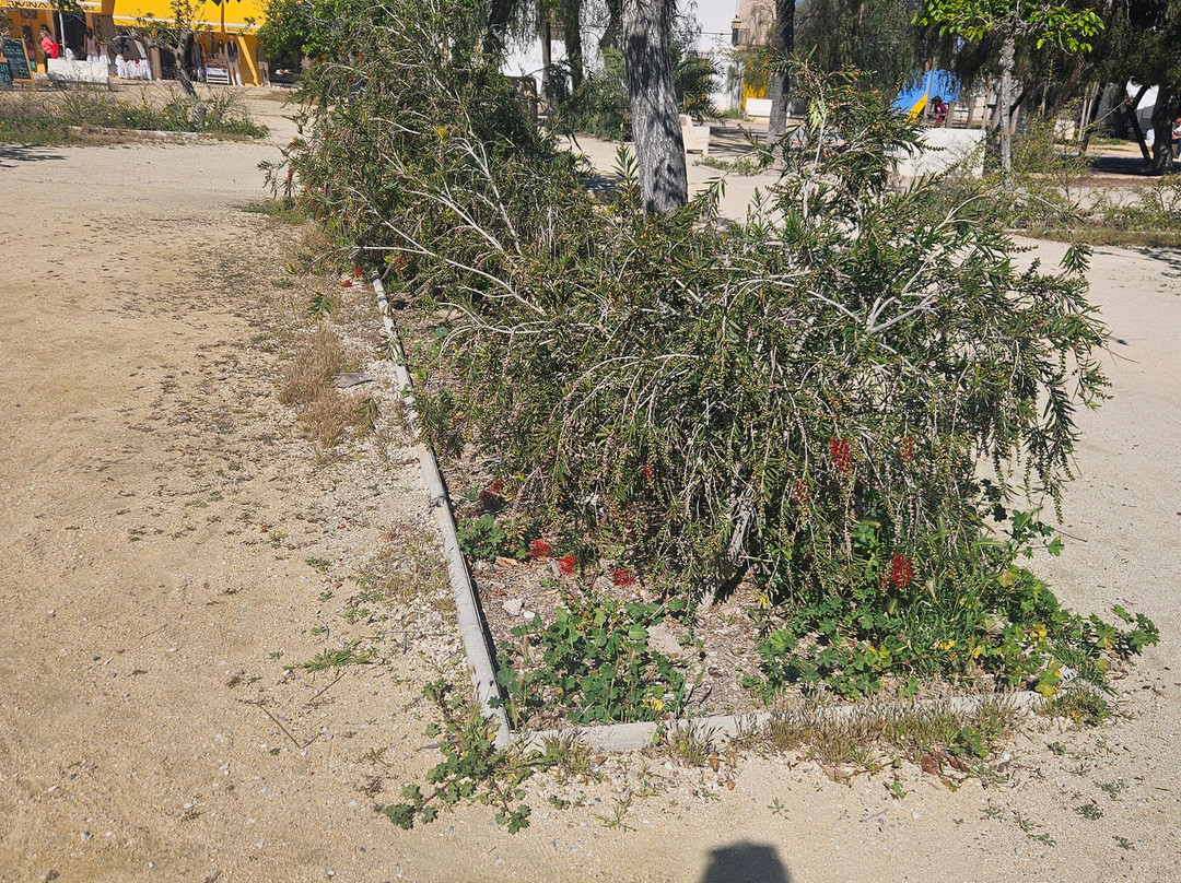 塔巴尔卡岛-圣波拉必去景点