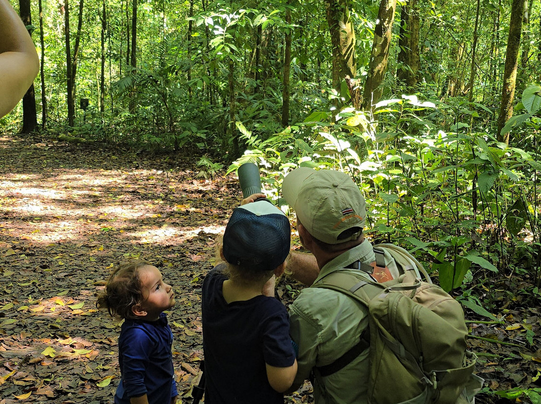 Surcos Tours-希门尼斯港必去景点