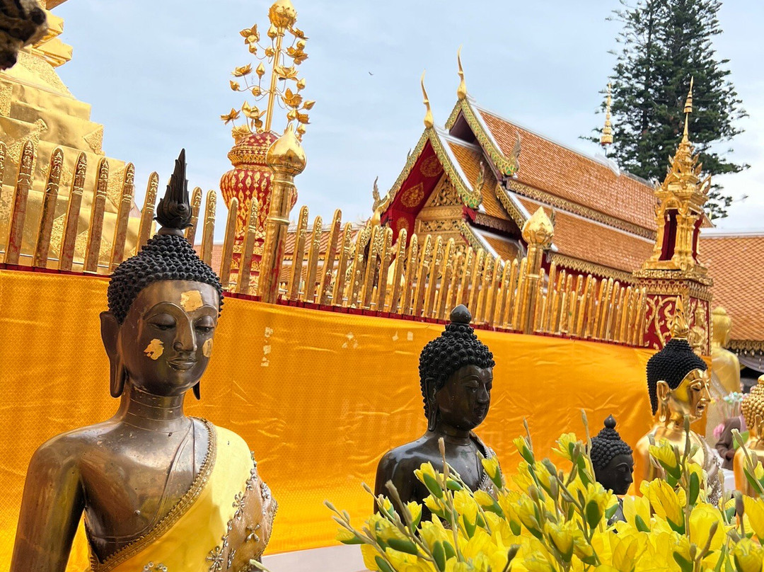 利安斯苏安东克迈旅馆主图