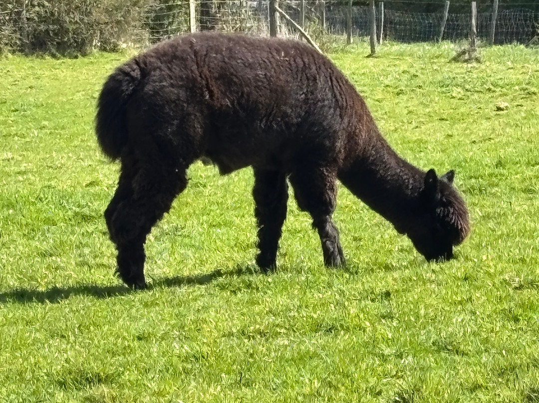 Fisherwood farm-Robertsbridge必去景点