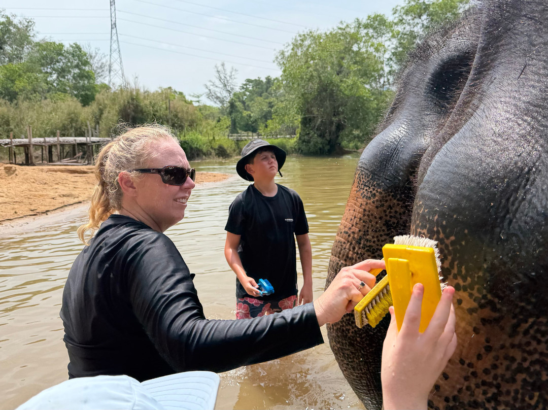 The Lake Phuket Elephant Home-Thep Krasatti必去景点