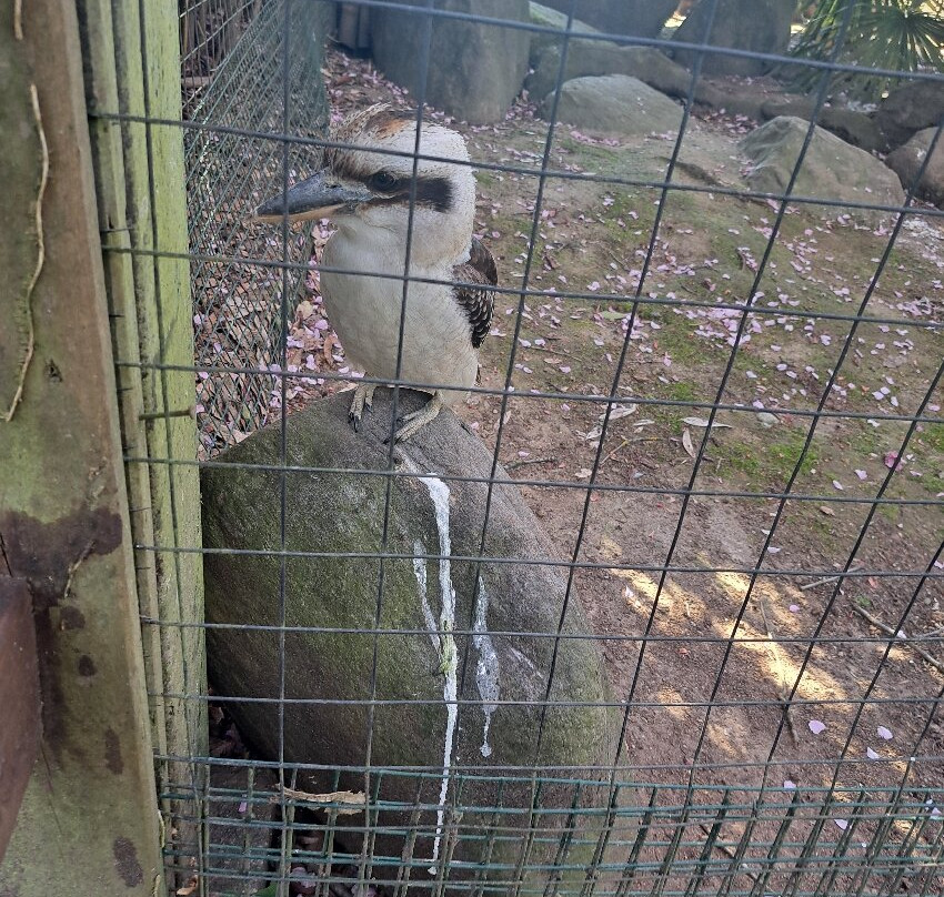 Parco Faunistico La Torbiera-Agrate Conturbia必去景点